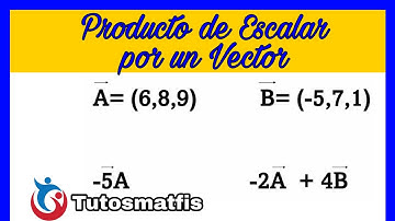Producto de un Vector por un Escalar