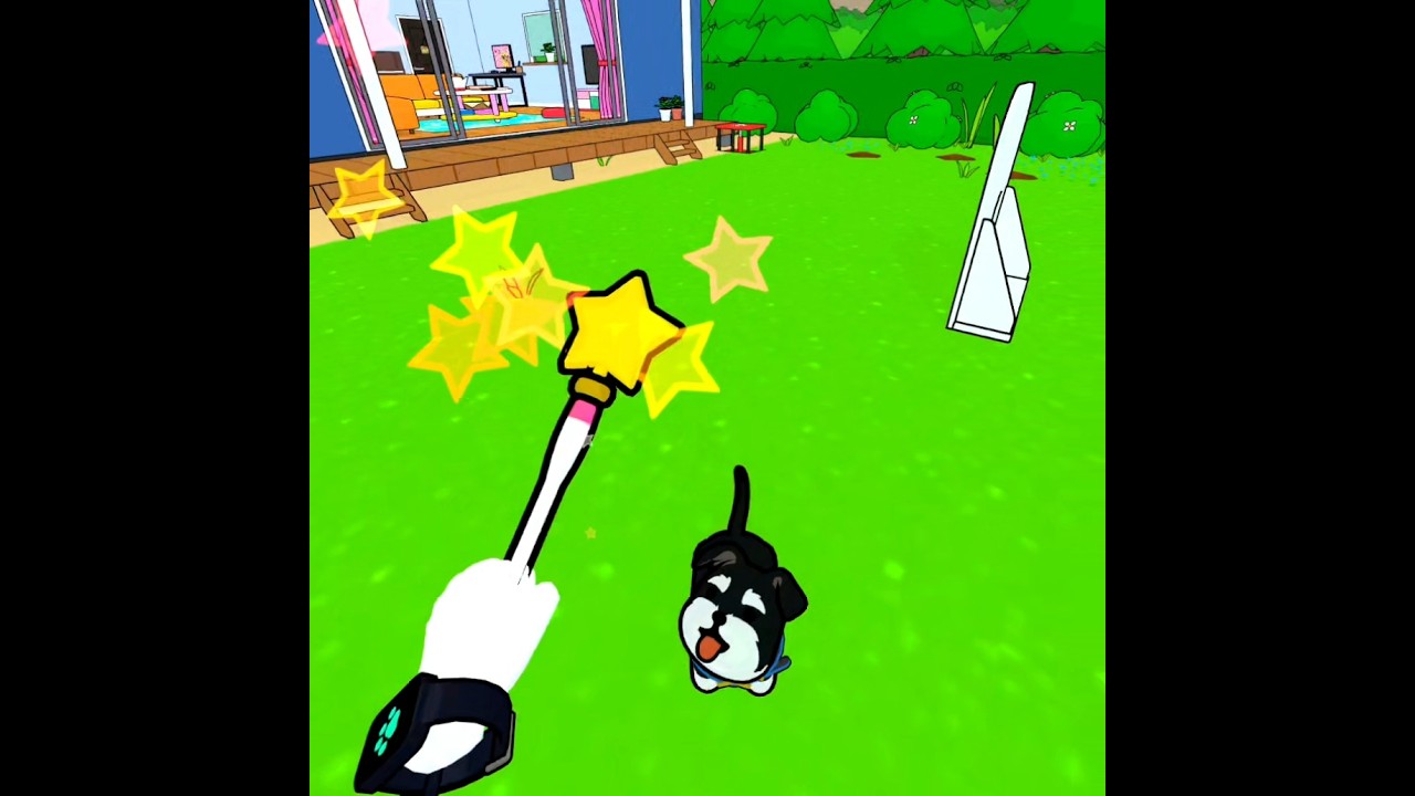 ミニチュアシュナウザーのちゃこと魔法のステッキで遊ぶ!