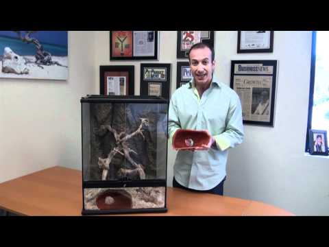 Exo Terra Crystal Caves  - Coolest Reptile Hiding Accessory