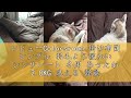 レビューColorsroom 掛け布団 シングル 羽毛より暖かい シンサレート 冬用 あったか 2.0KG 洗える 軽量 抗菌防臭防ダニ ほこりが出にくい あったか ふわふわ 掛け心地よい 掛けふとん