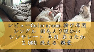 レビューColorsroom 掛け布団 シングル 羽毛より暖かい シンサレート 冬用 あったか 2.0KG 洗える 軽量 抗菌防臭防ダニ ほこりが出にくい あったか ふわふわ 掛け心地よい 掛けふとん