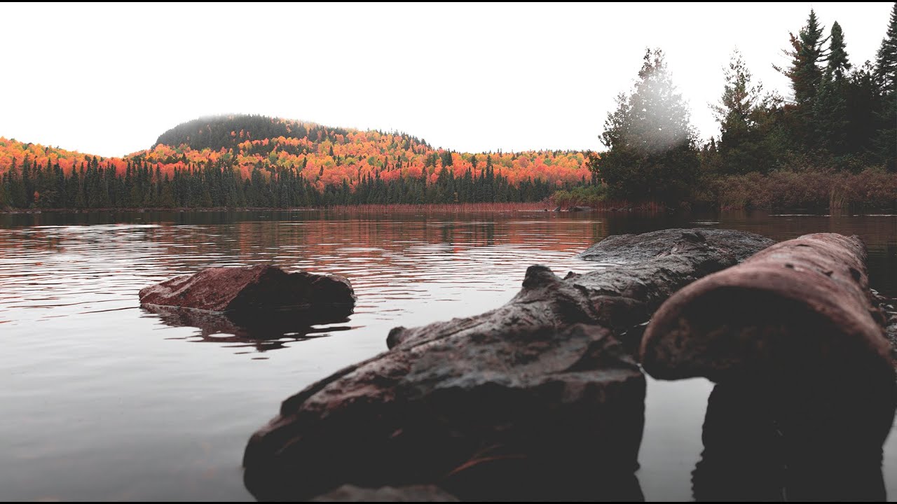 2020 - Drone Leaf Peeping - North Shore Minnesota - Fall Color Tour - Lake Oberg - Eagle Mountain