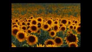 Karunesh - Heaven & Earth