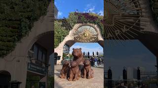 Московский зоопарк приглашает в гости #video #zoo #moscow #зоопарк #животные #прогулка #2026