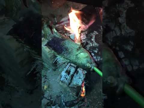Video Cá rô phi nướng siêu ngon ???? #shorts - youtube