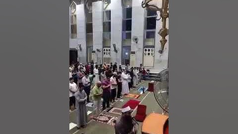القارئ الشيخ هانى الشحات امام مسجد دار الارقم توفاه الله أمس فى حادث سير