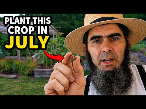 5 Crops You'll Seriously Regret Not Planting in July