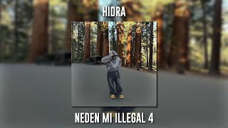 Hidra - Neden Mi İllegal 4 (Speed Up) Resimi