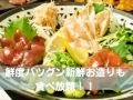 食べ飲み放題プラン♪お造りも選べる大満足コース★尾鶏なかもず店！