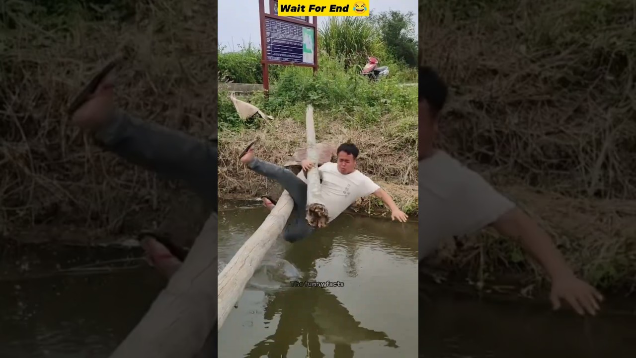 Best funny shorts 🤣😂 || comedy video 😂 