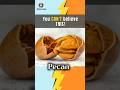 How Do You Pronounce Pecan? British vs American pronunciation