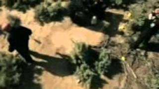 Nevada DPS- Investigation Division