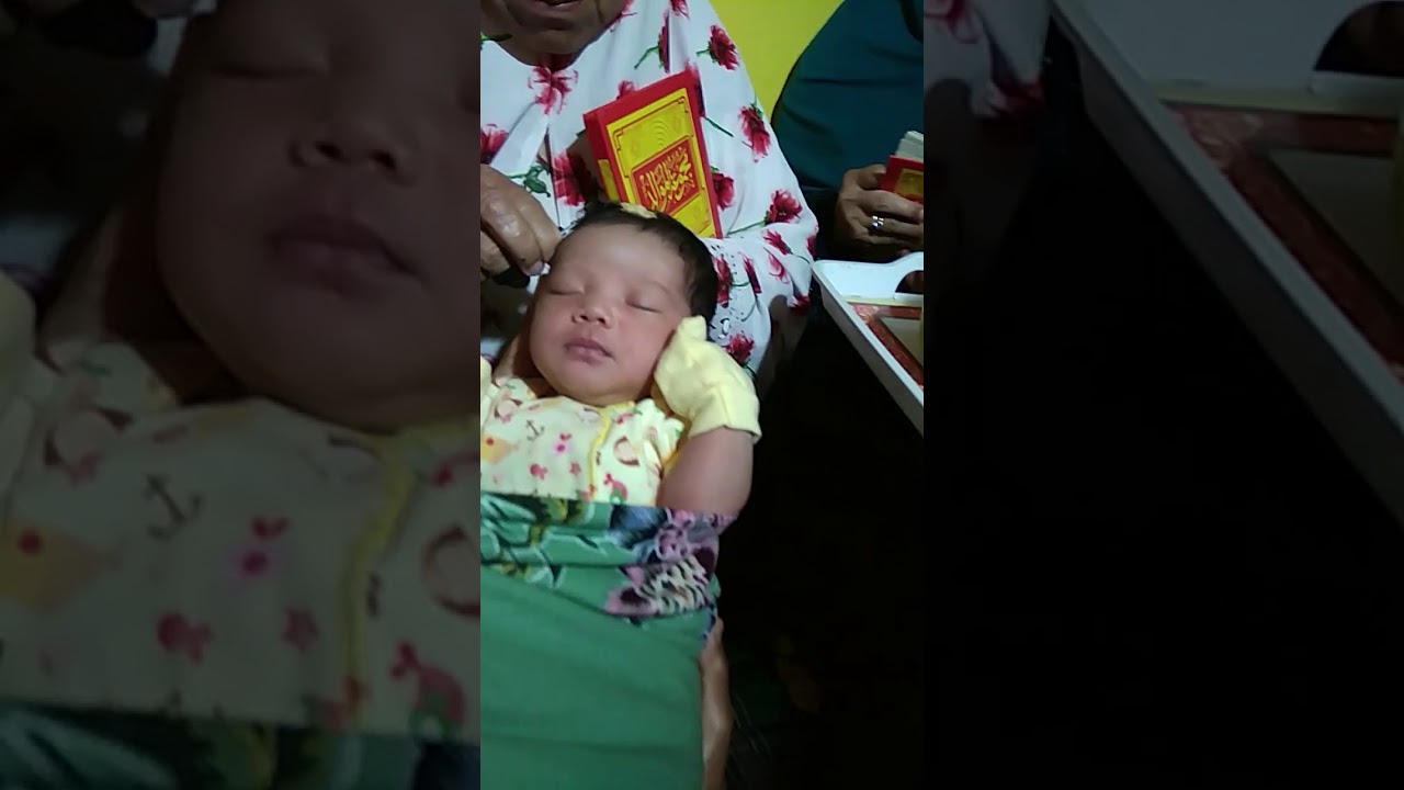 Sholawat Al Barjanji Bayi Anyelir Potong  Rambut  Pertama 