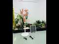 standing solar fan #solarsystem#solarfan#solar