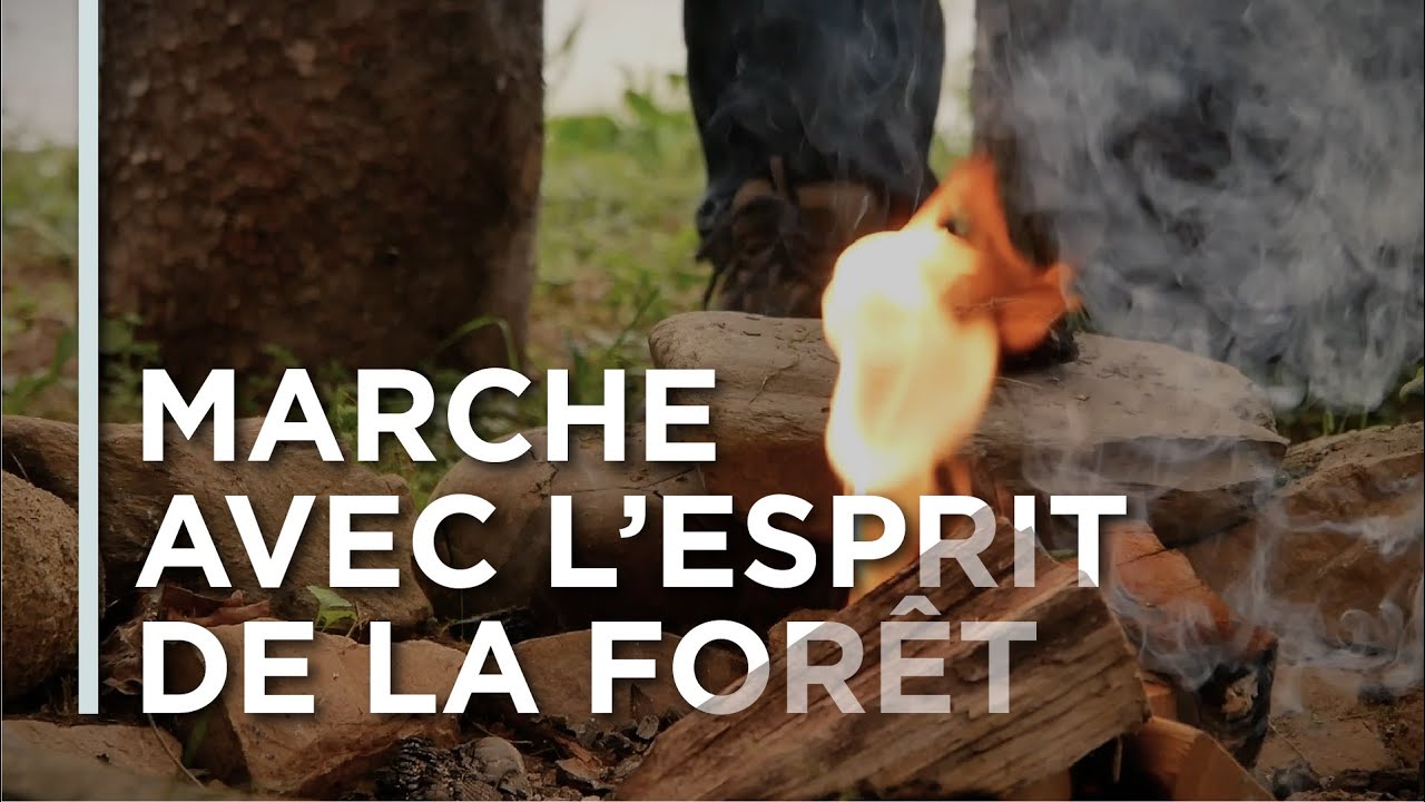 ep24-l-esprit-de-la-for-t-h-bergement-aux-cinq-sens-youtube