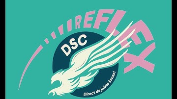 DSC OWee Themapresentatie 2023