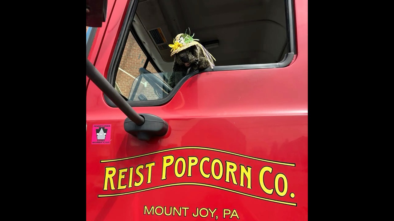 Mount Joy Minnie at Reist Popcorn 2025