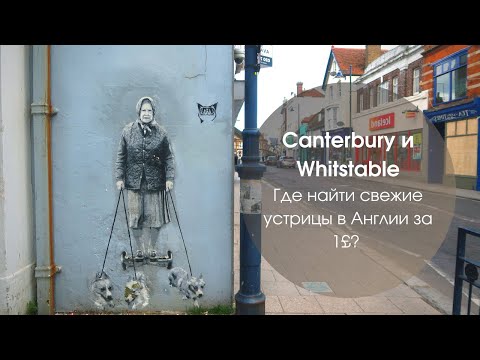 Video: Whitstable - Устрица сүйүүчүлөрүнүн качышы