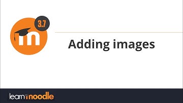 3.7 Adding images