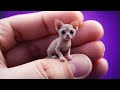 Epic Cat Reactions! 😹 Testing the Weirdest Sounds LIVE!