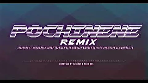 Pochi nene remix-Rayvanny ft karigraph, country boy, izzo, wakolintho, dodzila, Es2kz, young D...