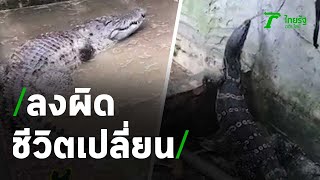 ลงบ่อผิด...ชีวิตเปลี่ยน! | 17-10-63 | ตะลอนข่าว