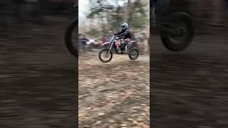 Dirtbikes Vs Crazy Horse 🐴 #Shorts #Hillclimb #Dirtbike