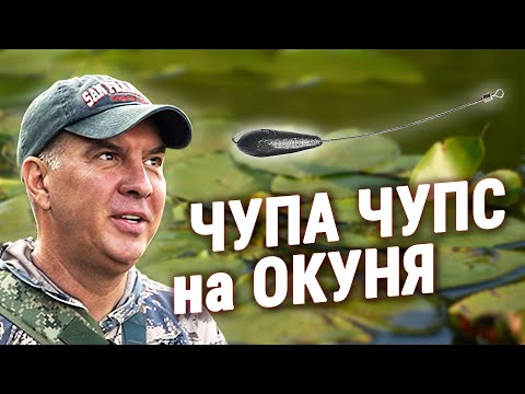 Ловля ПАСИВНОГО ОКУНЯ на Спннг з Берега