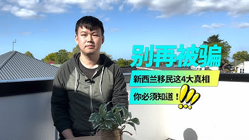 别再被骗,新西兰移民4大真相!