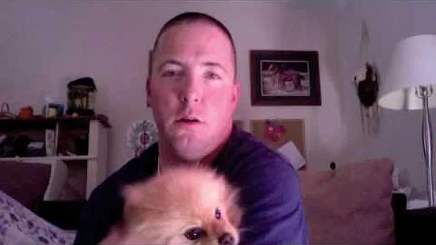dog wars
