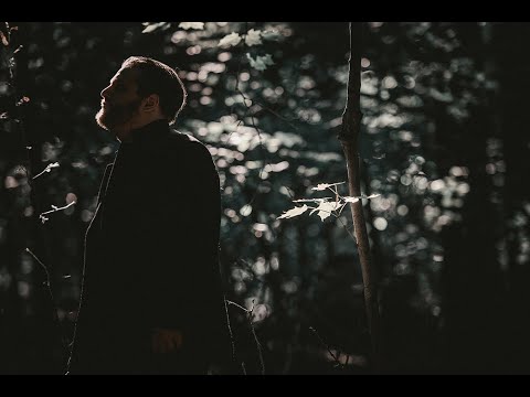 在 YouTube 上观看 THESE WOLVES - Panic (Official Audio)