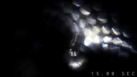 27  Experimental transition||templates||video effects||new videos||visualizer||green screen