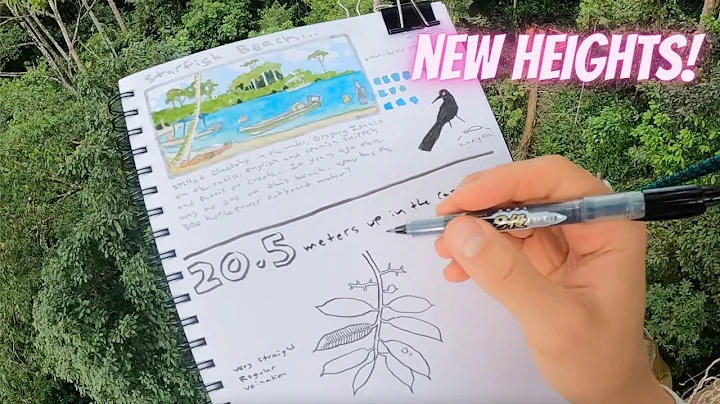 More Nature Journaling in the Canopy
