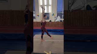 Dont Try This At Home. Gymnastics, Somersaults Chebyjane