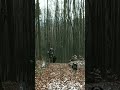 Гірський хребет Великий Діл🏞️ #ukraine #reels #salo #mountains #hiking #carpathians #nature #shorts