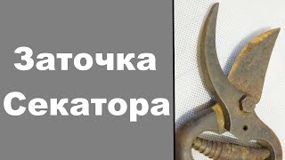 КАК заточить секатор (Sharpening pruning shears )