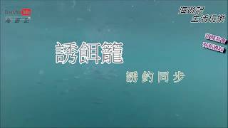 釣魚趣上層魚的季節快來到好用的誘餌籠釣法誘釣同時做到完美