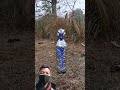 Ai us Edit #Green##Short###efckt##video#😈😈😈