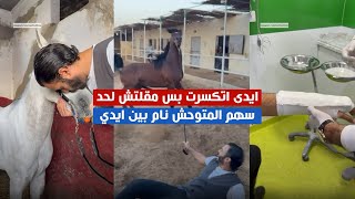 ايدى اتكسرت وانا ماسك غزال بس مقلتش لحد.. سهم المتوحش نام بين ايدى