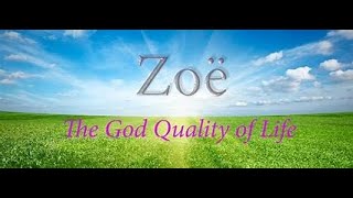 IMG 0510 Zoe verses Psuche life