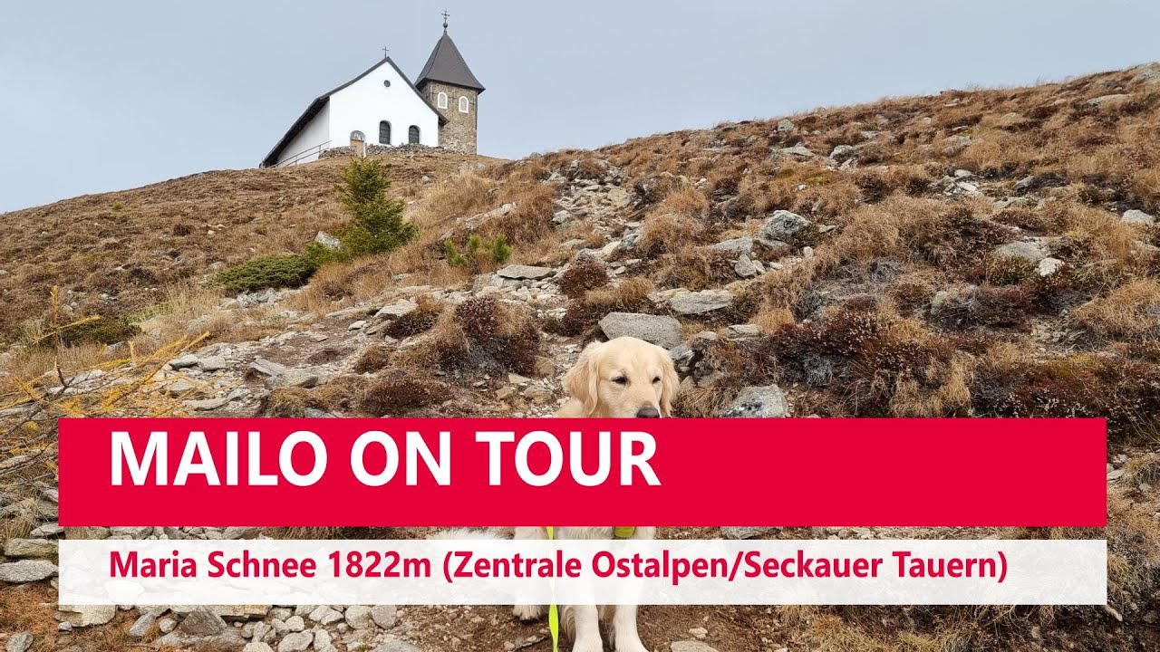 Mailo on Tour: Maria Schnee 1822m (Zentrale Ostalpen/Seckauer Tauern)