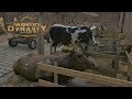 FARMER'S DYNASTY | #9 Huevos, Leche y muchas Pacas