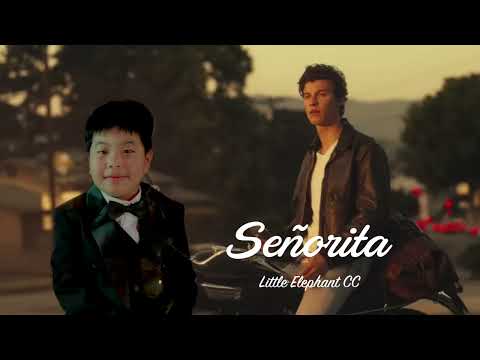 Señorita - Little elephant CC piano cover