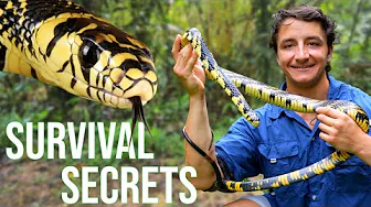 This Snake Conquered South America  - Here's How