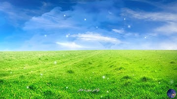 القارئ أيوب حميدة الجزائري