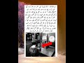 Who will like history | #history #Facts #shortsVideo #viralshorts