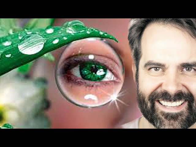 Seeing Clearly: The Connection Between Vitamins and Eye Health