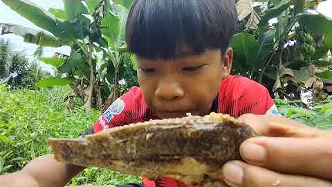 Cá rô phi nướng chấm muối ớt canh rất là hấp dẫn và ngon không tưởng nổi #xunghuong #dantockhmer