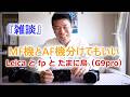 『雑談』MFとAF リズムの違い