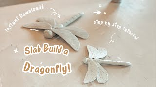 Dragonfly YouTube Video